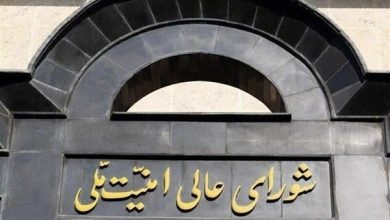 Rezaei appointed secretary of SNSC