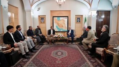 S. Africa ready to cooperate with Iran in suing Israel regime