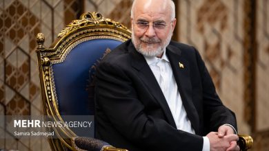 Iran-China strategic relations need no one's permission