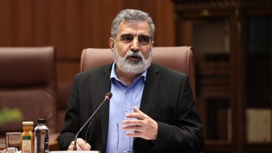 US barring of Eslami from IAEA meeting destructive, childish