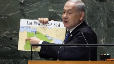 VIDEO: Pro-Palestinian protesters burn Netanyahu effigy