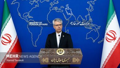 World does not fall to US false narratives: Baghaei