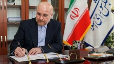 Iran backs collective security architecture offered by China
