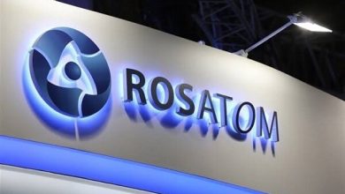 Russia expands nuclear team at Iran's Bushehr plant