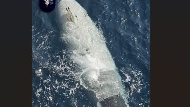 Iran seizes US autonomous underwater vehicle in Strait of Hormuz