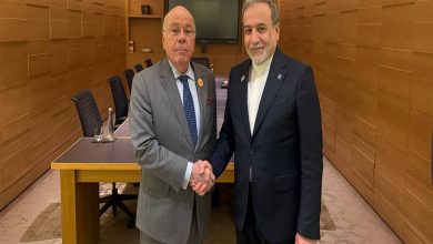 Iranian, Brazilian FMs meet in India