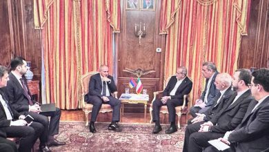Iran pursues expanding cooperation with regional states