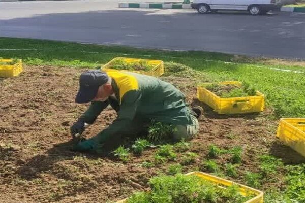 5561417 - استمرار عملیات نگهداری و آبیاری فضاهای سبز شهرکرد