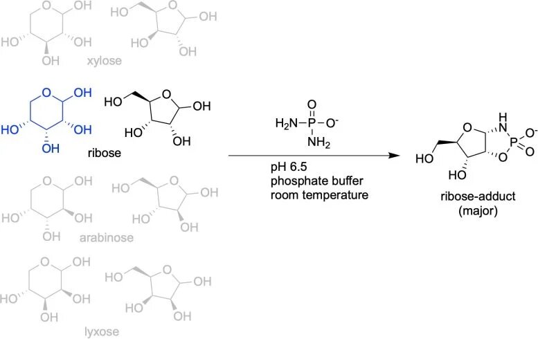 زندگی روی زمین چگونه آغاز شد | یک کشف تاریخی  و مهم با منشأ RNA