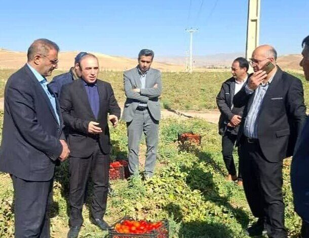 خلیلی: ۶۱ طرح اشتغال‌زایی و سرمایه‌گذاری در شهرستان کوثر تصویب شد