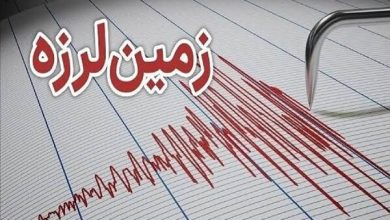 زمین لرزه ۴.۶ ریشتری شهرستان بردسیر خسارتی نداشت