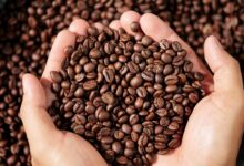 قهوه عمده اصفهان