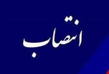 مدیرکل دفتر برنامهریزی آموزش عالی وزارت علوم منصوب شد مدیرکل دفتر برنامهریزی آموزش عالی وزارت علوم منصوب شد
