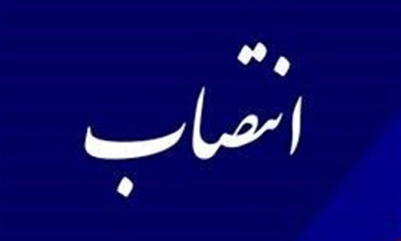 مدیرکل دفتر برنامه‌ریزی آموزش عالی وزارت علوم منصوب شد