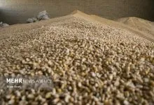 آغاز ثبت سفارش واردات پنج کنجاله از ۹ شهریورماه آغاز ثبت سفارش واردات پنج کنجاله از ۹ شهریورماه