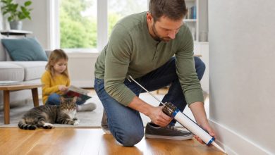 خانه بدون آفت برای خانواده‌های دارای کودک و حیوان خانگی؛ راهکارهای کم‌خطر