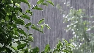 کاهش دمای هوا در راه است | بارش‌ها از پنجشنبه در سواحل خزر آغاز می‌شود؛