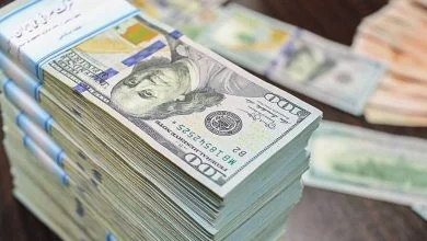 ارزهای خانگی در مسیر تولید | نخستین صندوق سرمایه‌گذاری ارزی آغاز به کار کرد
